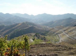  Get to know the Priorat through wine 
